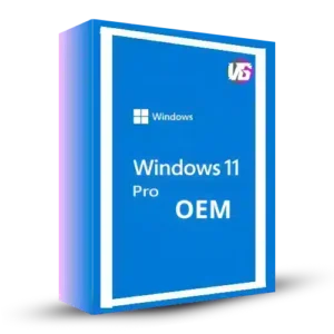 Windows 10/11 Pro - OEM